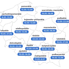 Wyniki rekrutacji do szkół: Dokładne daty, godziny i instrukcje