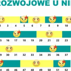 Czwarty skok rozwojowy: Jak przetrwać burzę i cieszyć się słońcem?