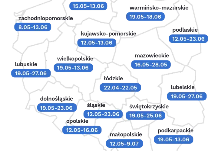 Wyniki rekrutacji do szkół: Dokładne daty, godziny i instrukcje