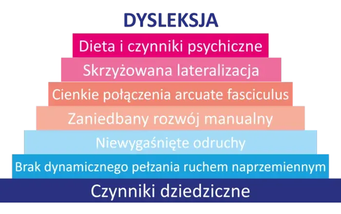 Dysleksja: Zrozum, zdiagnozuj, wspieraj! Pełny przewodnik