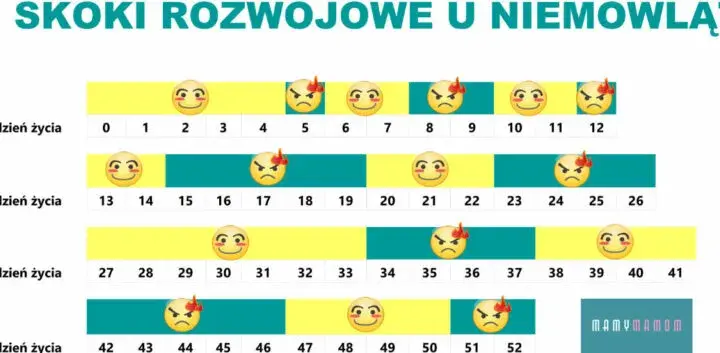 Czwarty skok rozwojowy: Jak przetrwać burzę i cieszyć się słońcem?