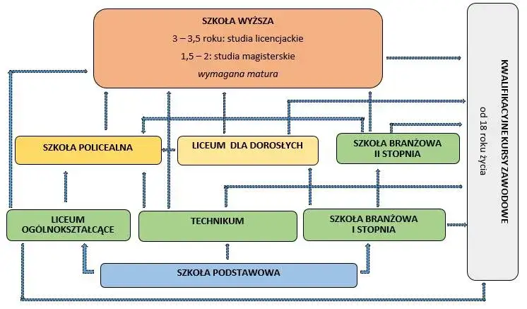Rodzaje funkcji edukacji schemat